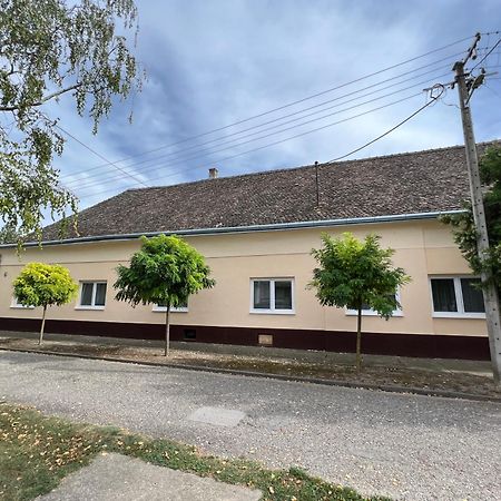 Bezdan Guesthouse المظهر الخارجي الصورة